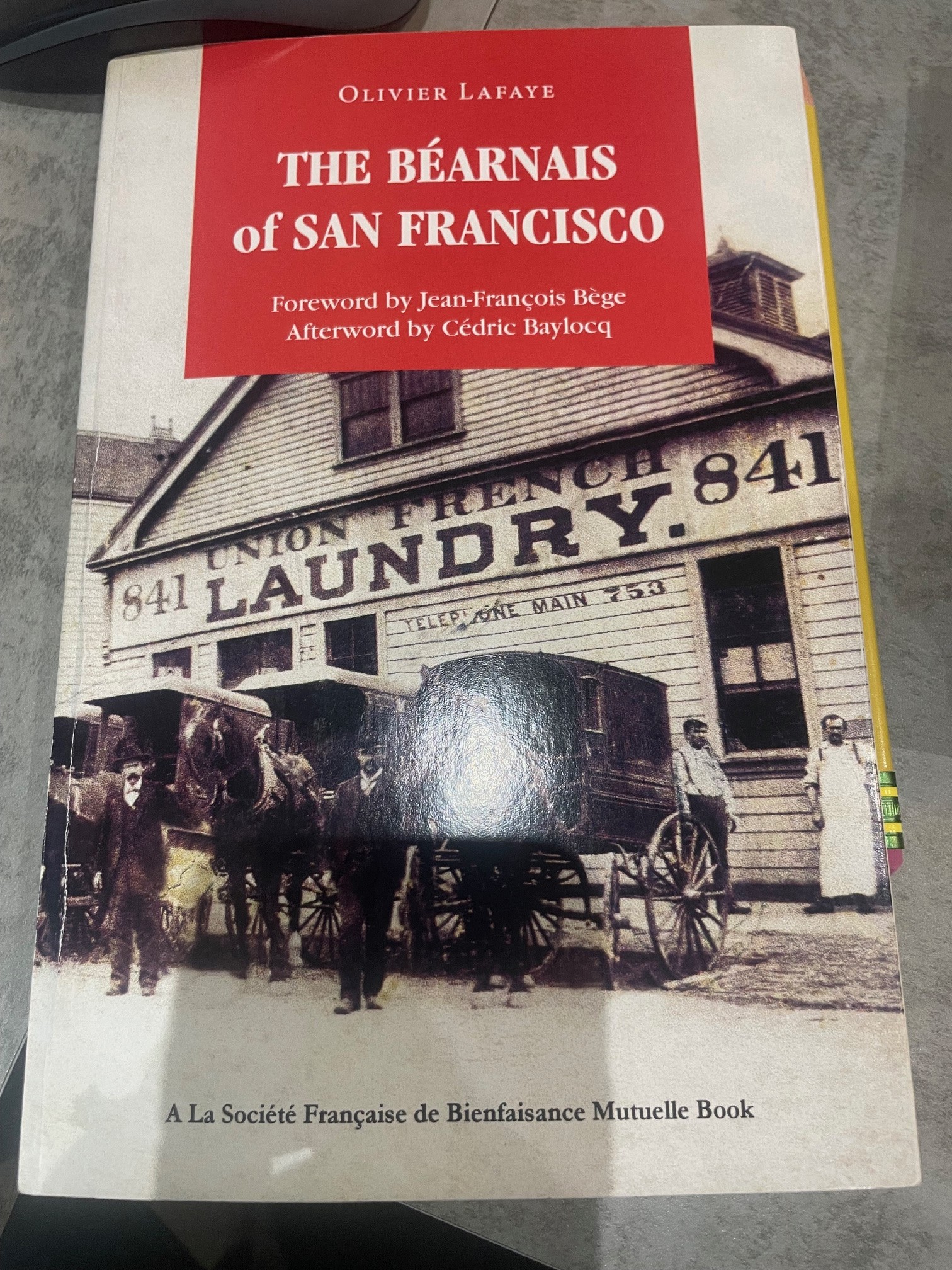 The bearnais of San Francisco - Click to enlarge picture.