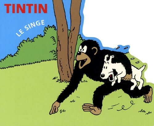 Le singe - Click to enlarge picture.