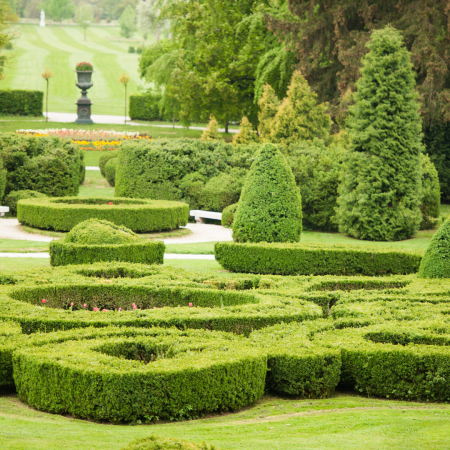 The story of French formal gardens