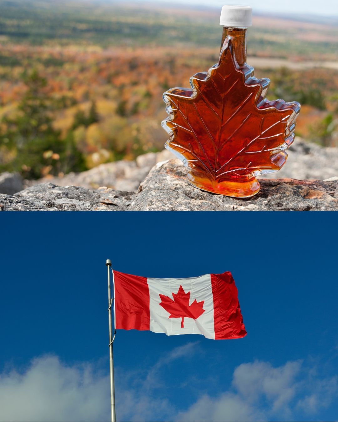 La cabane à sucre : l’art du sirop d’érable au rythme du printemps québécois