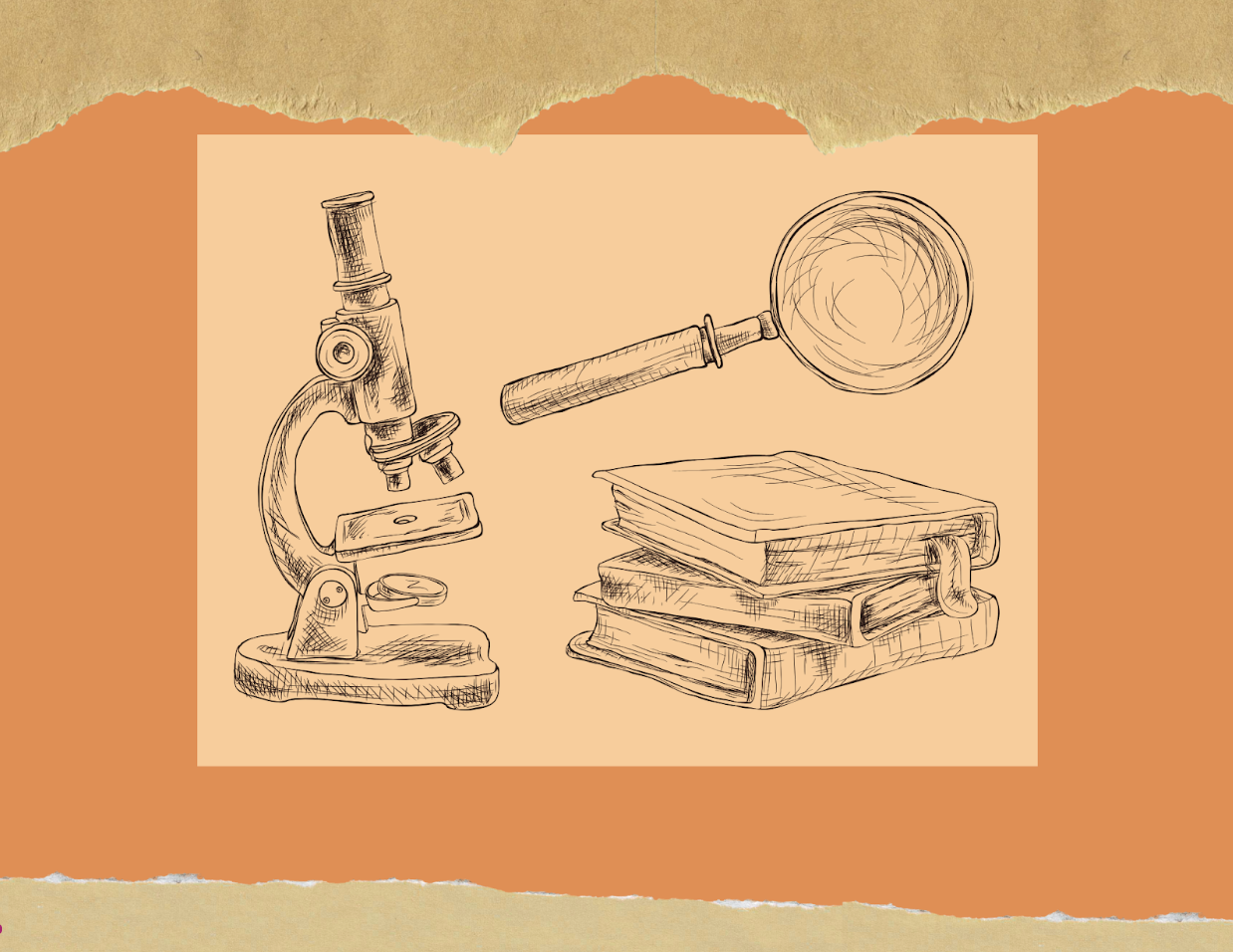 Nobel Prize 2025 In Physics, A Scientific Collaboration With Francophone Roots